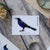 Prospect Patches Black AF In Stem Boat-tailed Grackle Patch