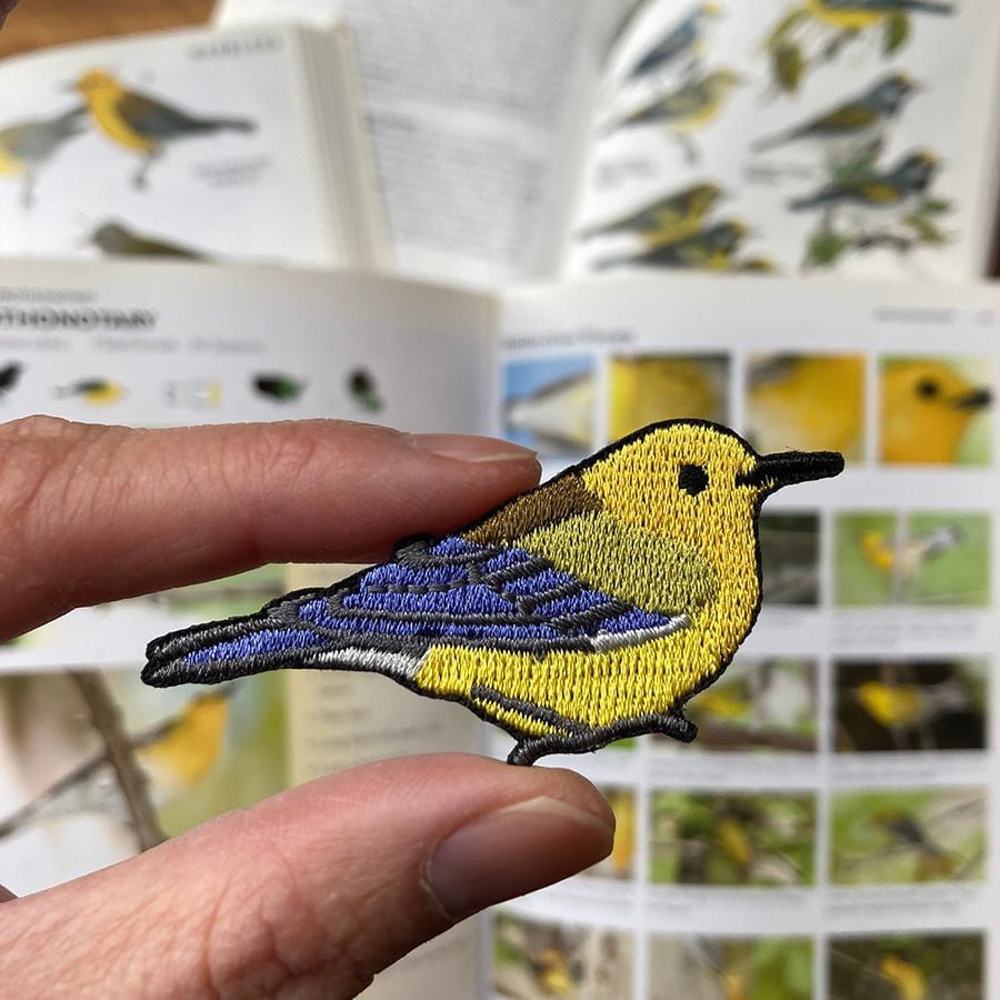 Prothonotary Warbler Patch - Bird Collective