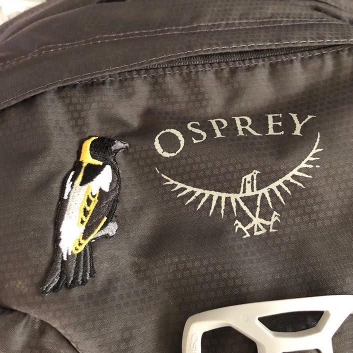 osprey bag patches Bobolink Bird Patch – Bird Collective