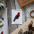 Bird Collective - Scarlet Tanager Patch - -