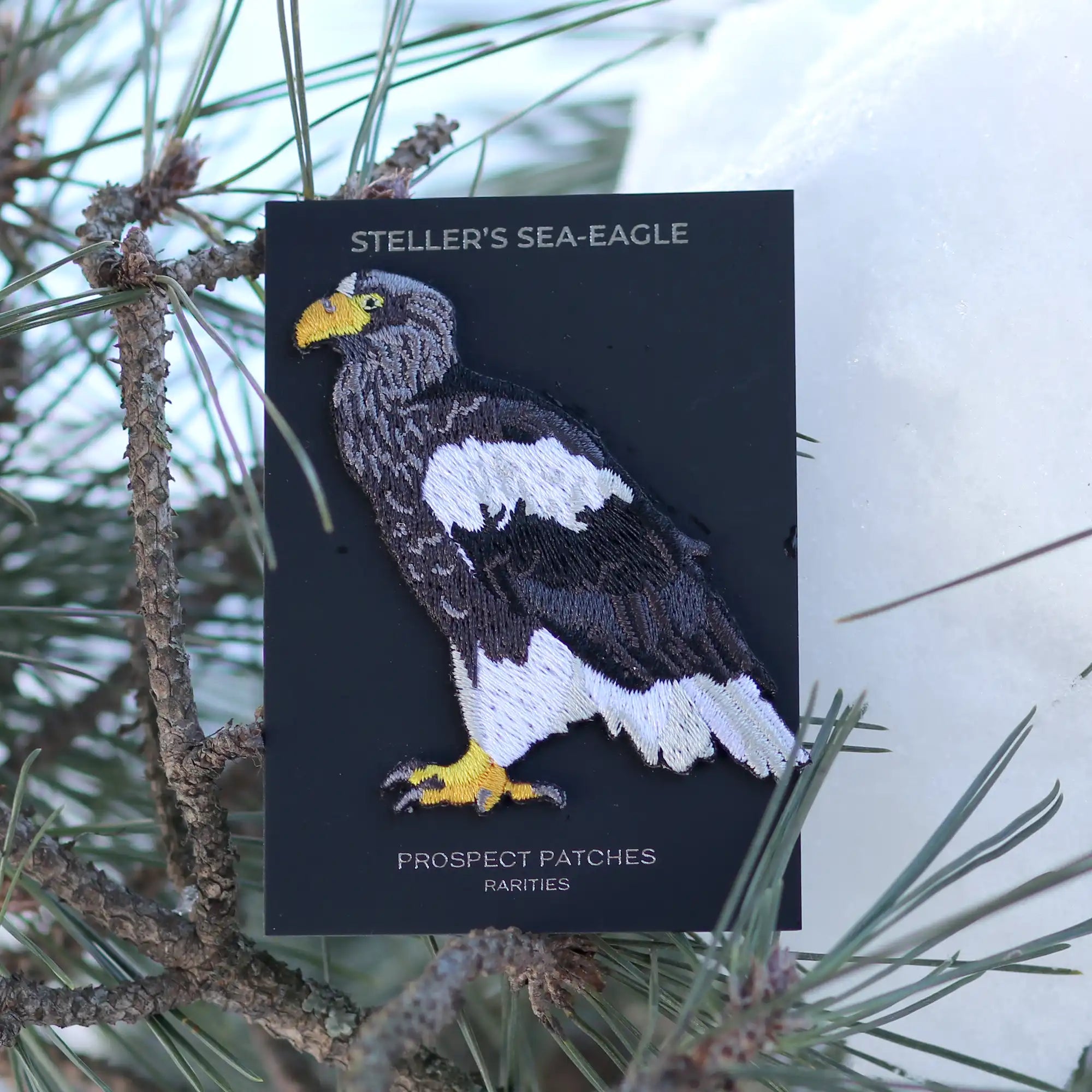 Steller's Sea Eagle Limited Edition Patch - Bird Collective