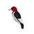 Bird Collective - Red-headed Woodpecker Patch - -