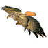 Red-tailed Hawk Mobile Kit