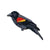 Red-winged Blackbird Patch - Bird Collective