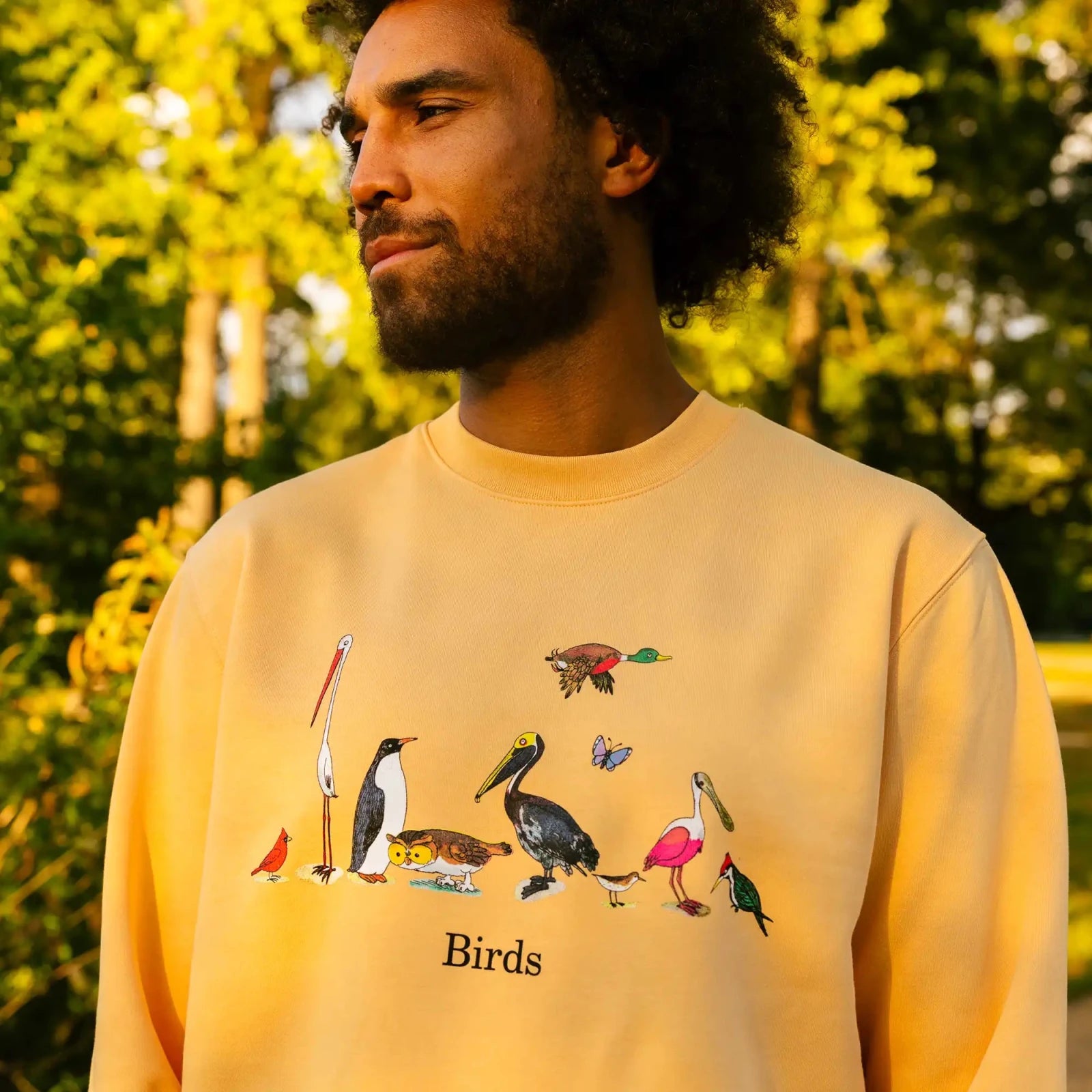 Bird Collective - Richard Scarry Birds Sweatshirt - XXS -