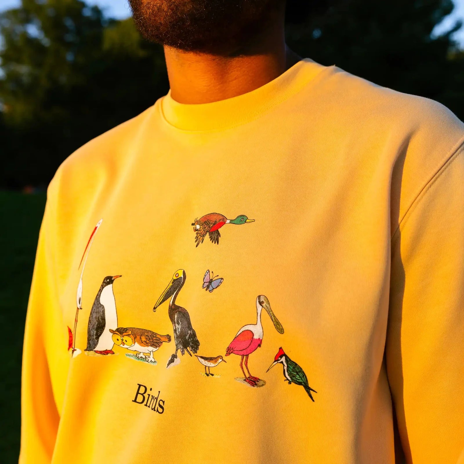 Bird Collective - Richard Scarry Birds Sweatshirt - XXS -