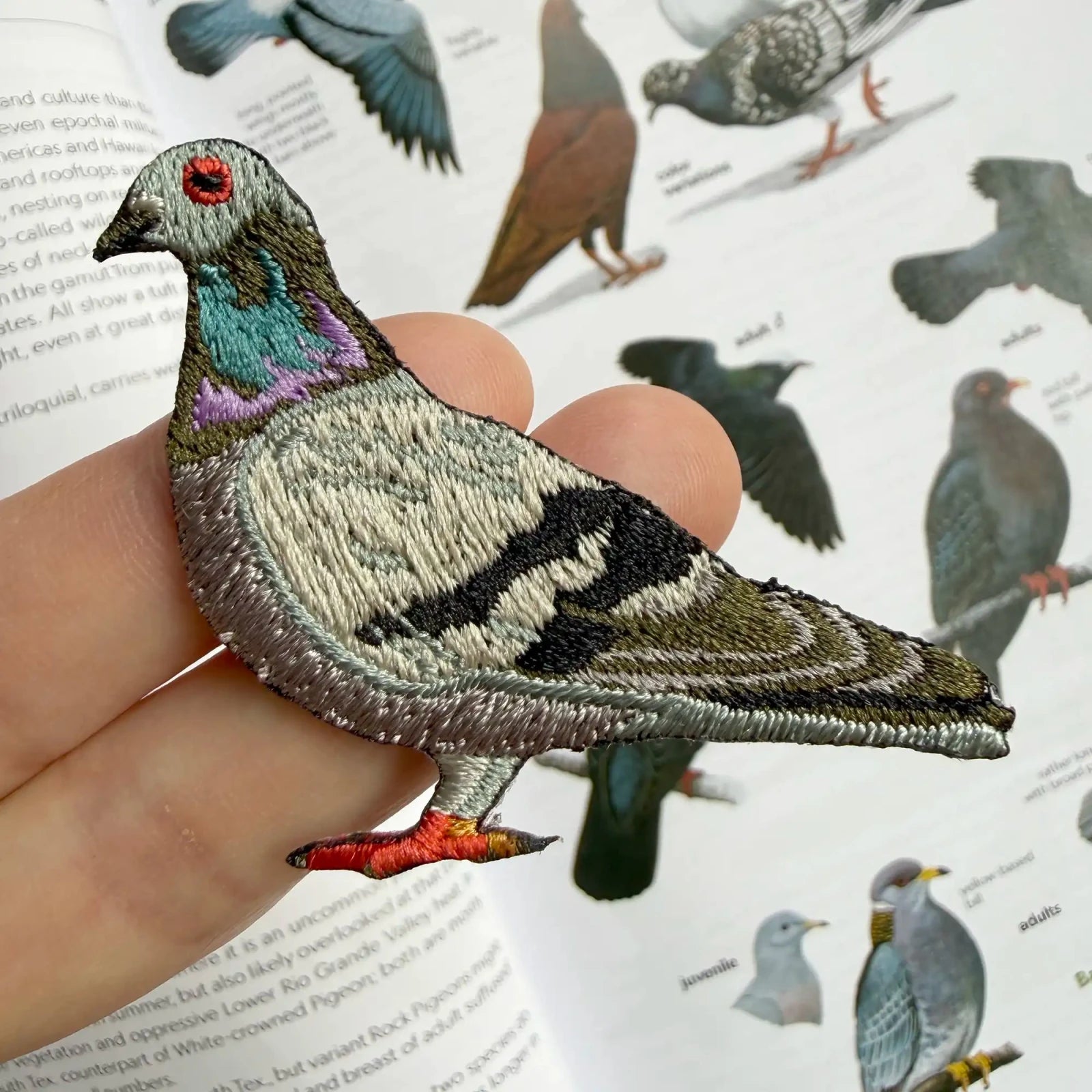 Bird Collective - Rock Pigeon Patch - 