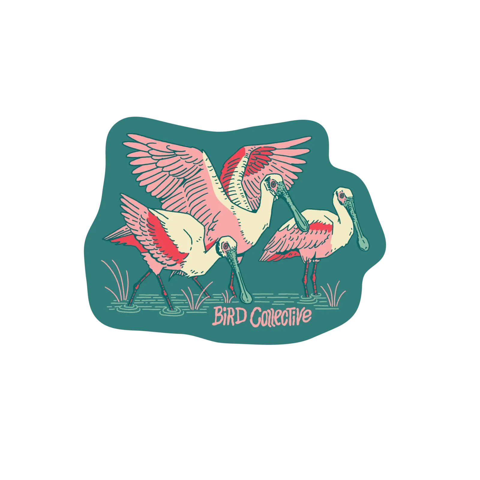 Bird Collective - Roseate Spoonbill Sticker - 