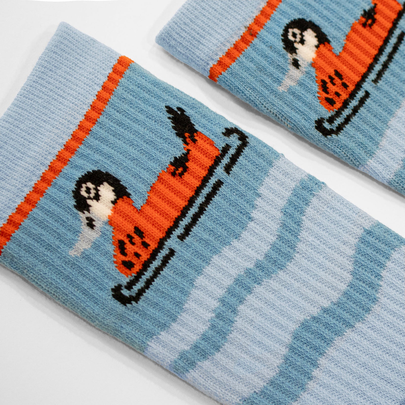 Bird Collective - Ruddy Duck Socks - S - 