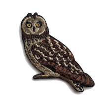 邦楽 OwL Short-eared Owl Patch – Bird Collective