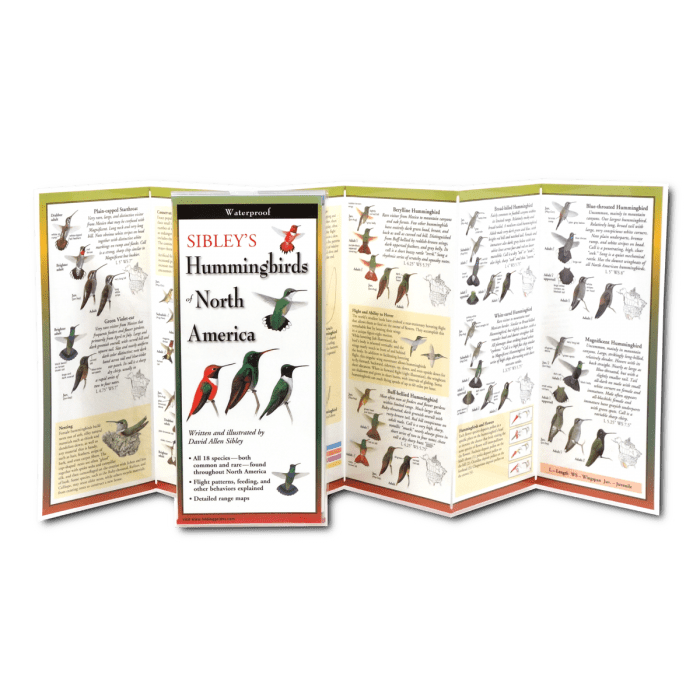 Bird Collective - Sibley's Hummingbirds of North America - 