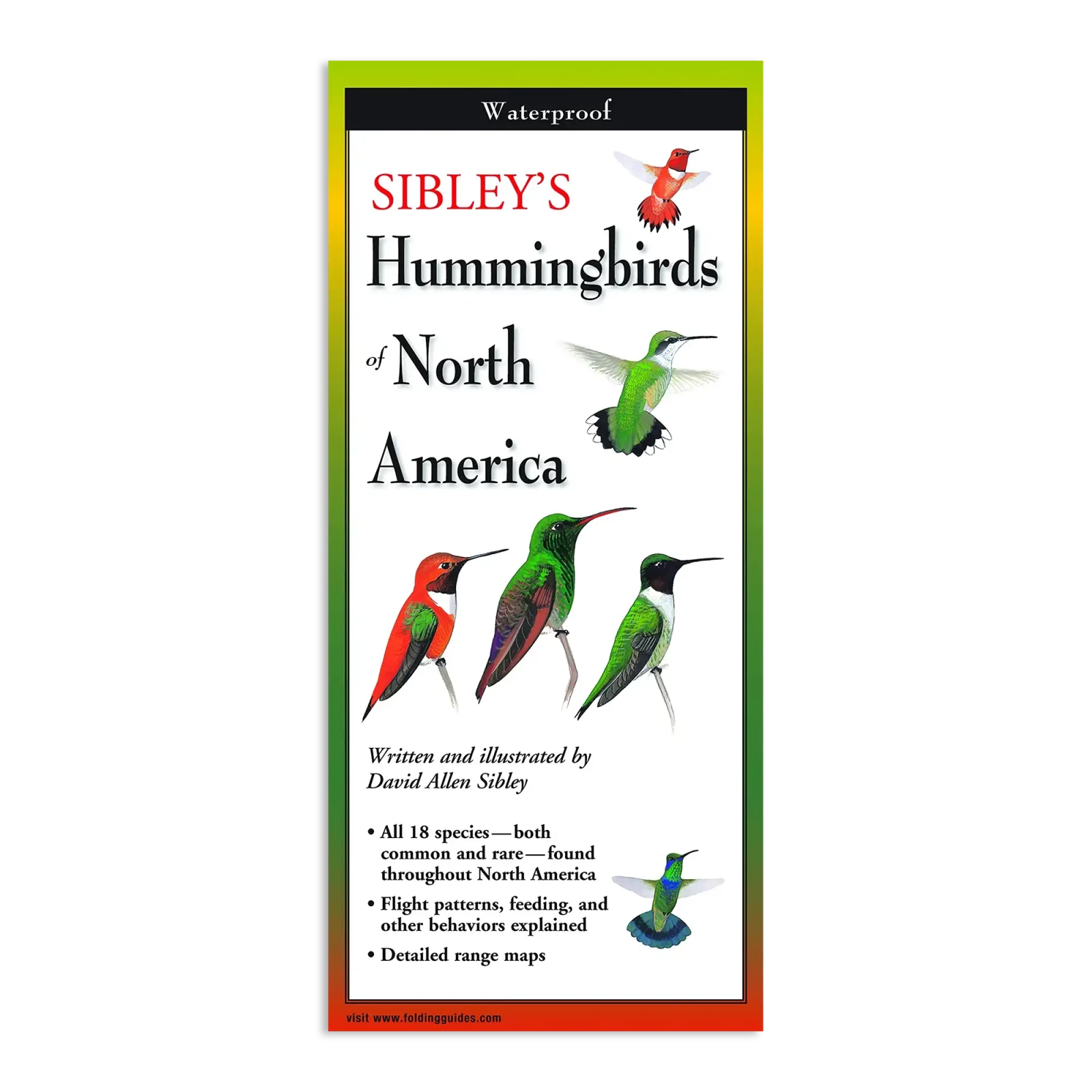 Bird Collective - Sibley's Hummingbirds of North America - 