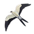 Swallow-tailed Kite Patch