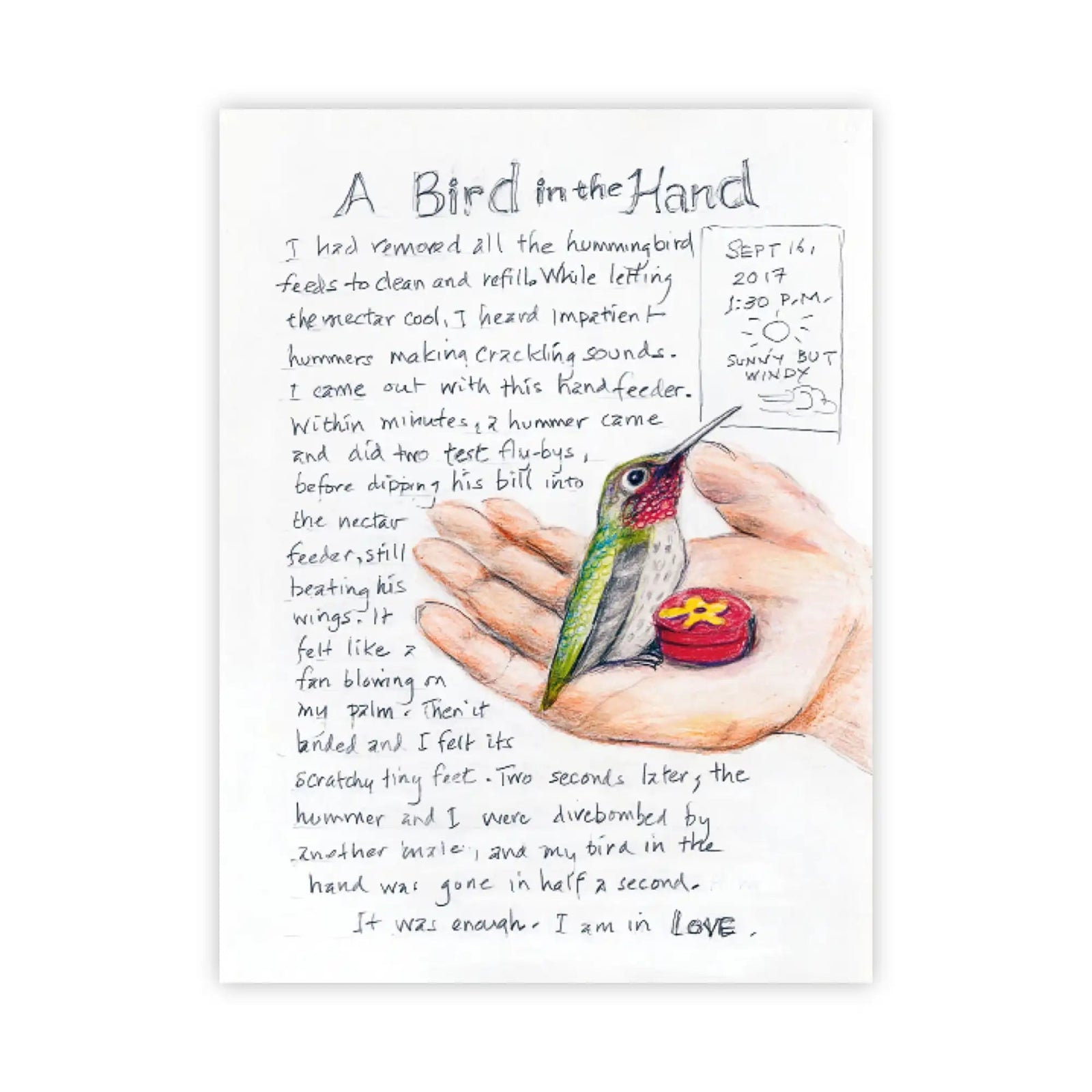 Bird Collective - The Backyard Bird Chronicles - 