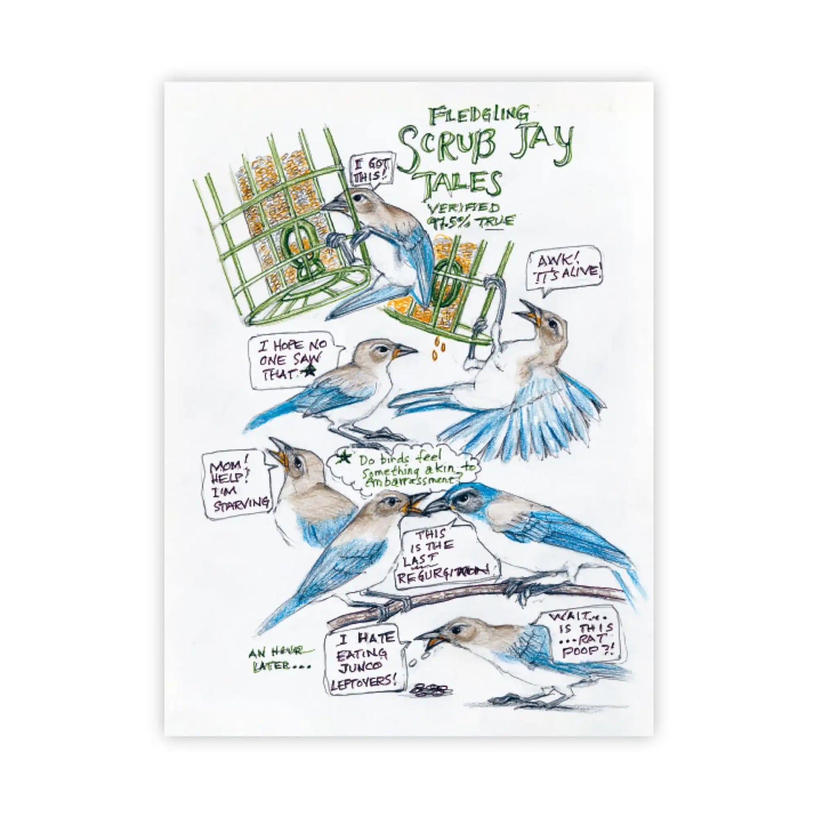 Bird Collective - The Backyard Bird Chronicles - 