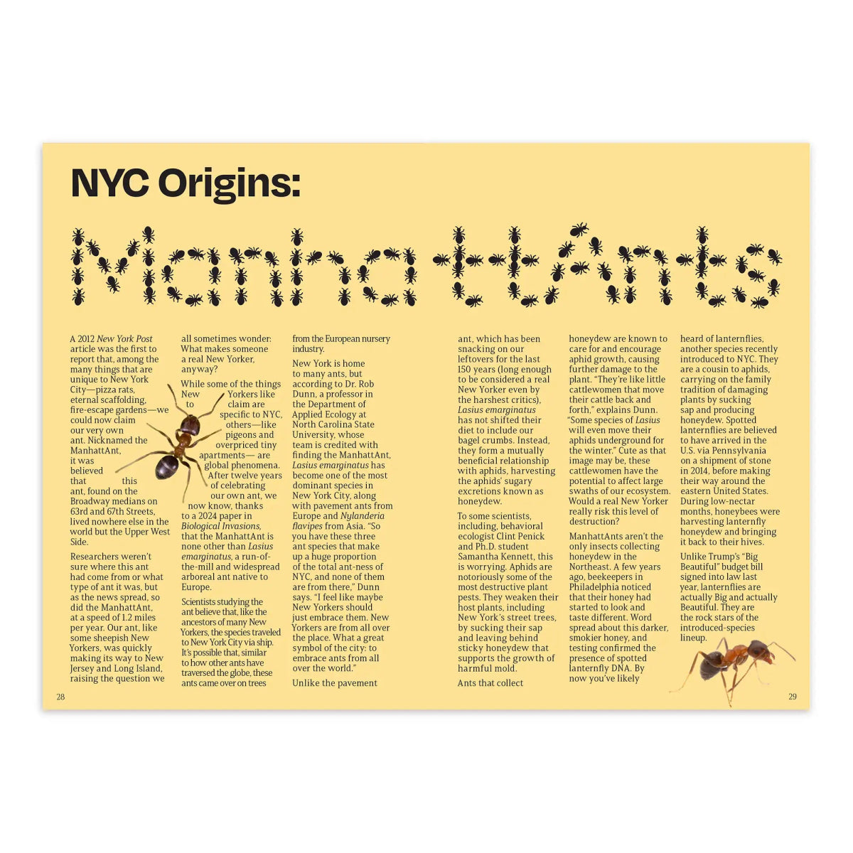 Bird Collective - The Other Almanac 2026 - 