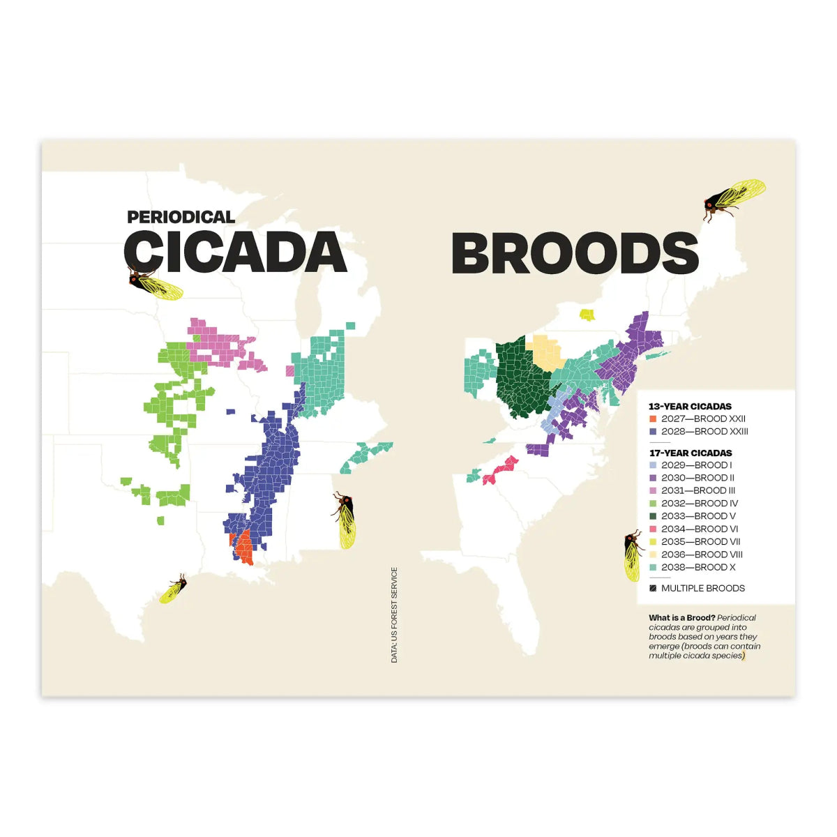 Bird Collective - The Other Almanac 2026 - 