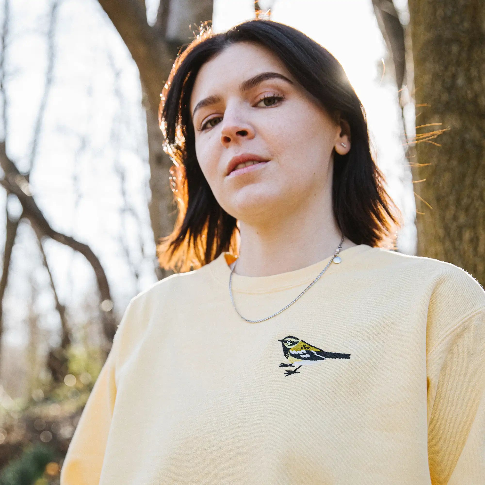 Townsend's Warbler Embroidered Sweatshirt - Bird Collective