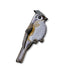 Tufted Titmouse Patch