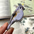 Tufted Titmouse Patch - Bird Collective