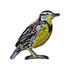 Western Meadowlark Patch