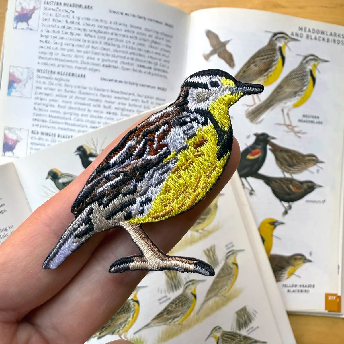 Bird Collective - Western Meadowlark Patch - 