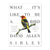 Bird Collective - What It's Like to Be a Bird by David Allen Sibley - -