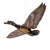 Bird Collective - Wood Duck Mobile Kit - -