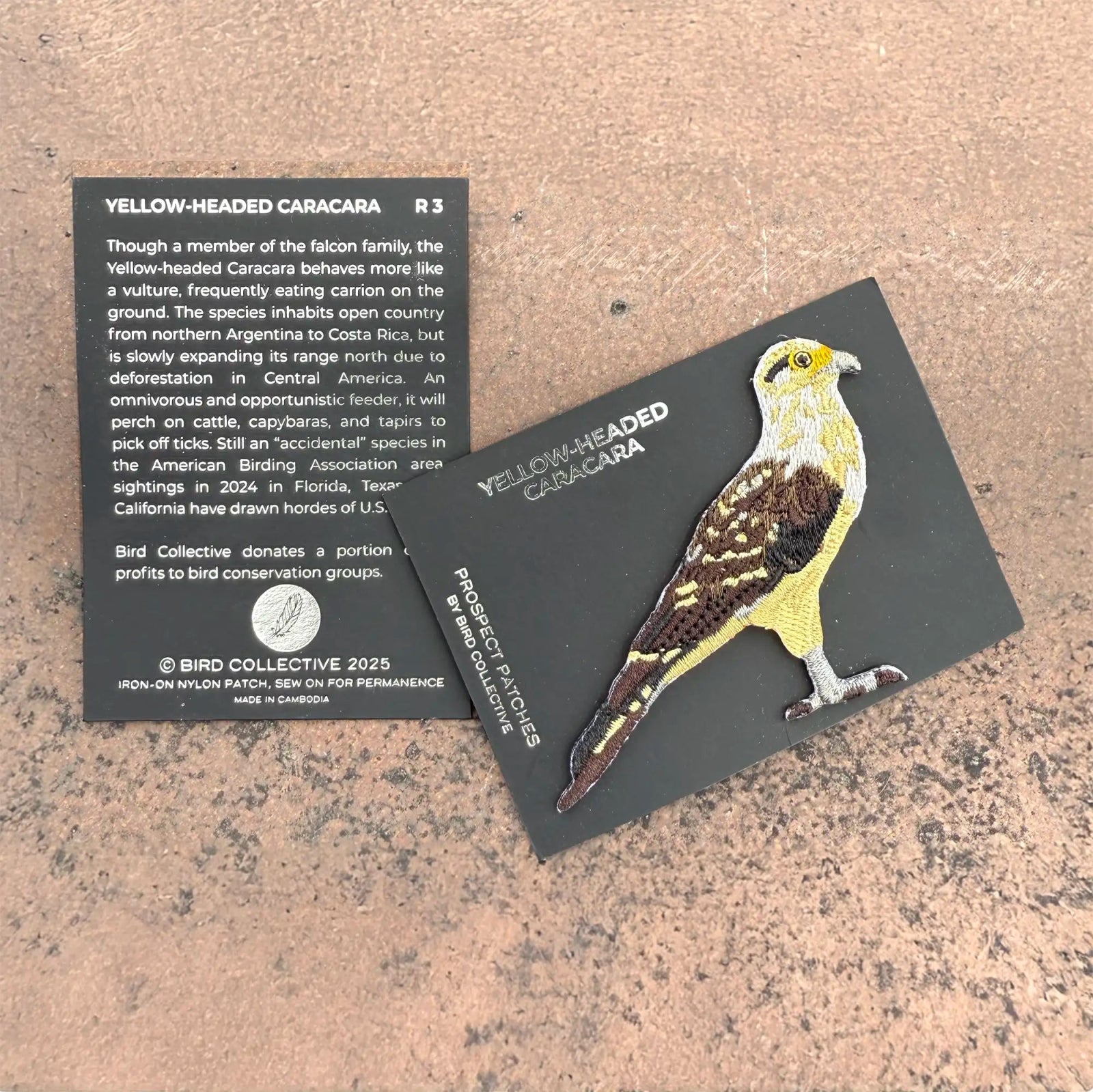 Bird Collective - Yellow - headed Caracara Limited Edition Patch - 