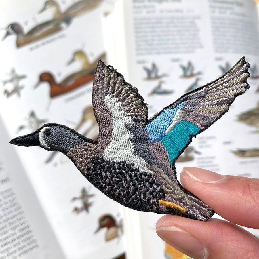 Blue-winged Teal Patch - Bird Collective