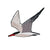 Caspian Tern Patch - Bird Collective