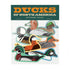 Ducks Sticker Pack