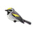 Golden-winged Warbler Patch - Bird Collective