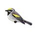 Golden-winged Warbler Patch