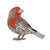 Bird Collective - House Finch Enamel Pin - -