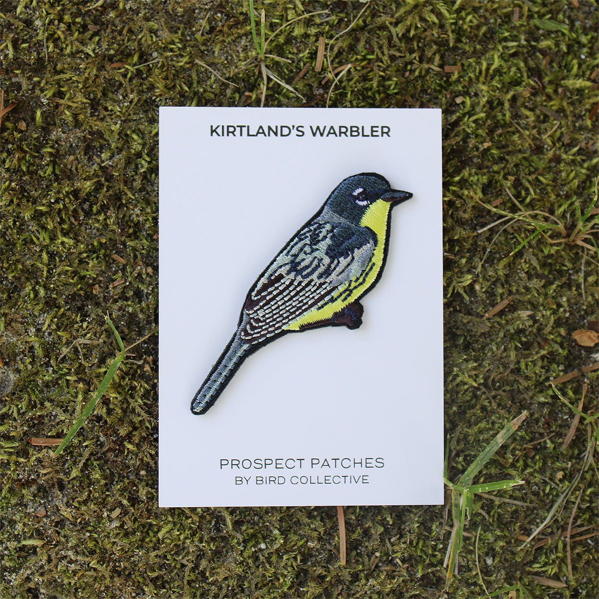 Bird Collective - Kirtland's Warbler Patch - -
