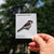 Bird Collective - Loggerhead Shrike Patch - -