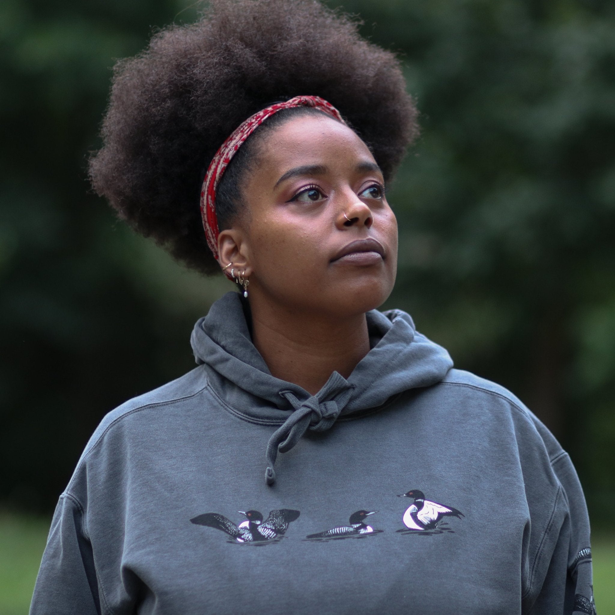 Loon Hoodie Cozy Bird Themed Hoodie Bird Collective loon-hoodie-cozy-bird-themed-hoodie-bird-collective