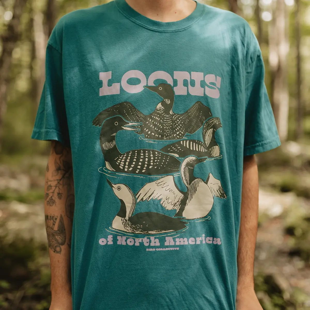 Bird Collective - Loons of North America T-Shirt - S - Teal