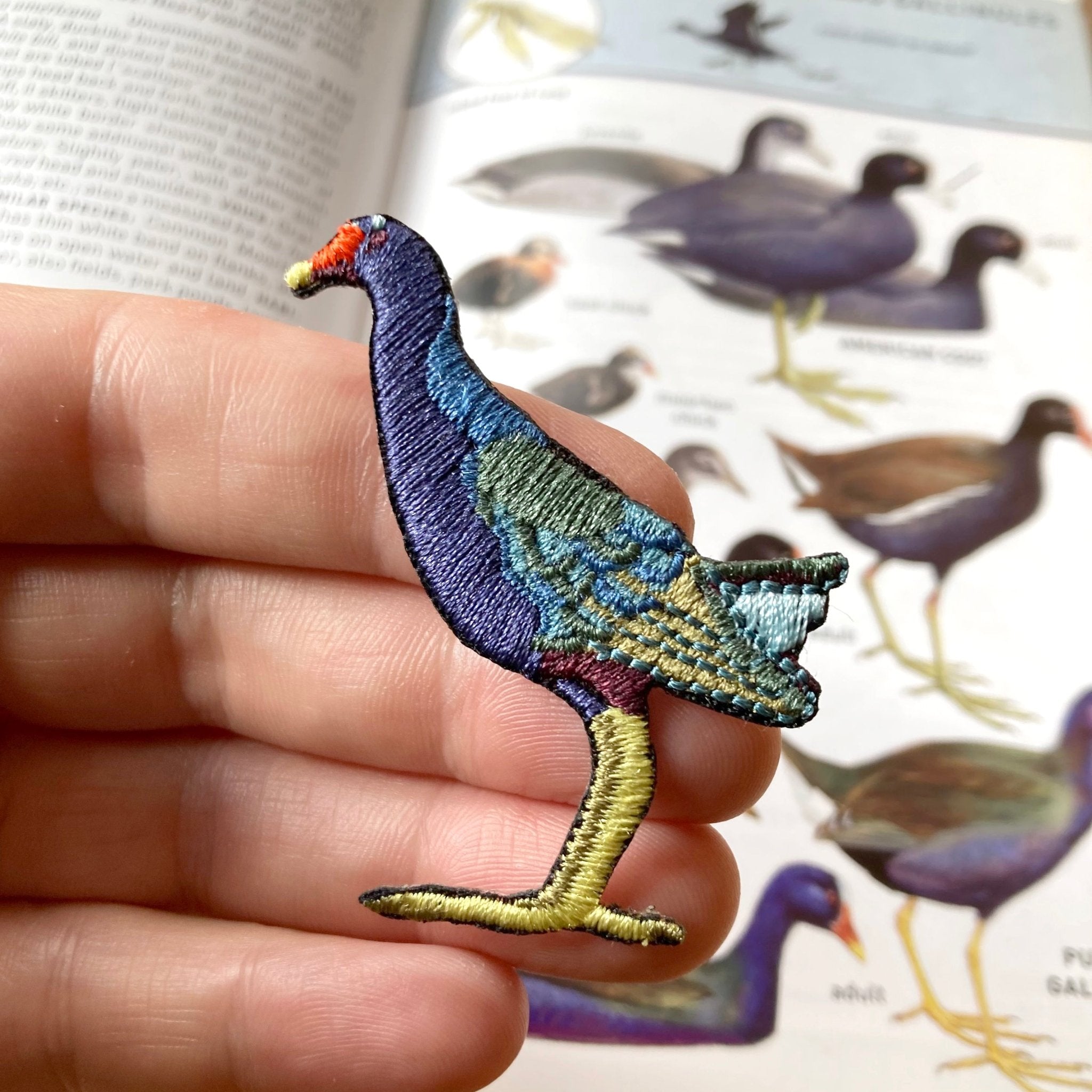 Bird Collective - Purple Gallinule Patch - -